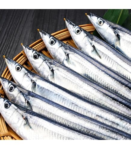 Amazon.co.jp: 魚水島 生サンマ 北海道～三陸産 秋刀魚 刺身用 さんま